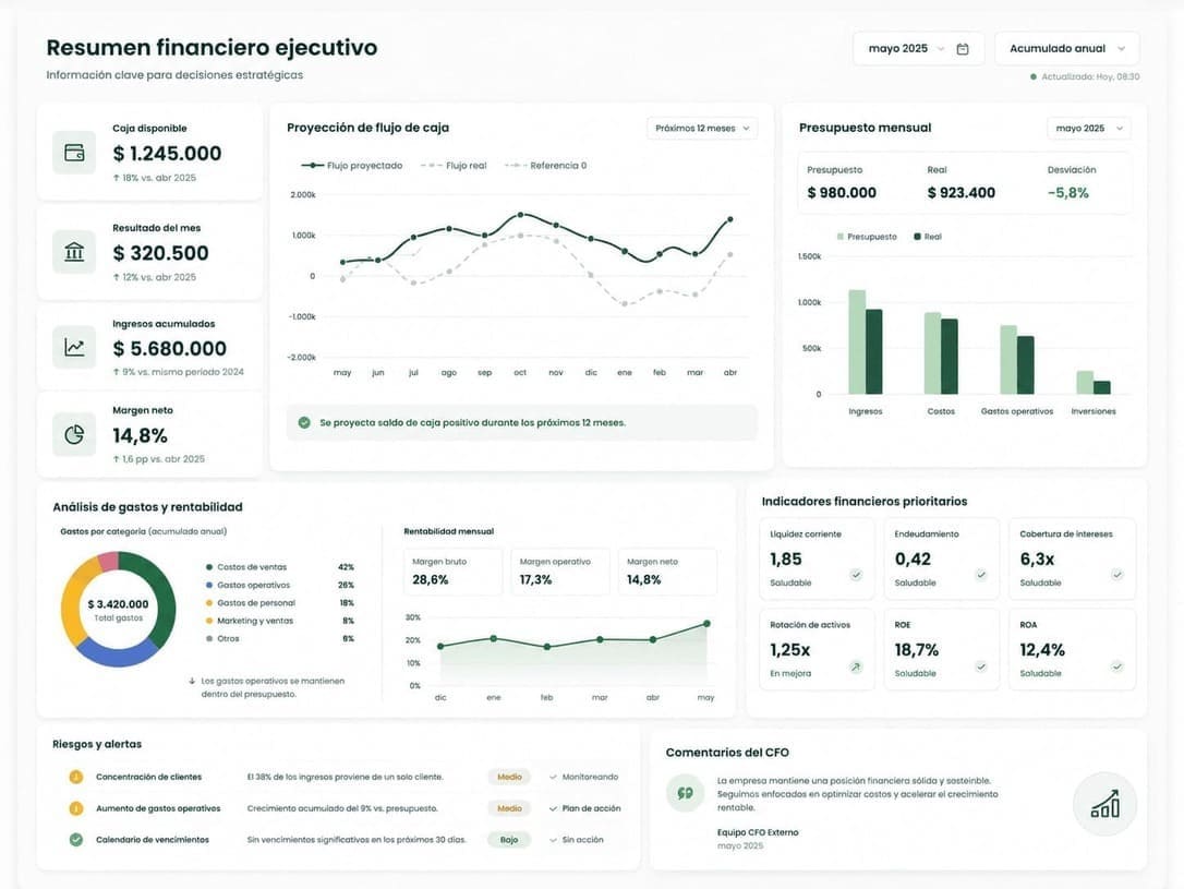 Ejemplo de dashboard incluido en una consultoría financiera para empresas